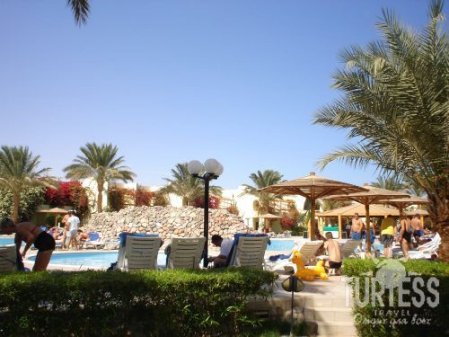 Отель Palm Beach Resort 4*, Хургада - фото 21
