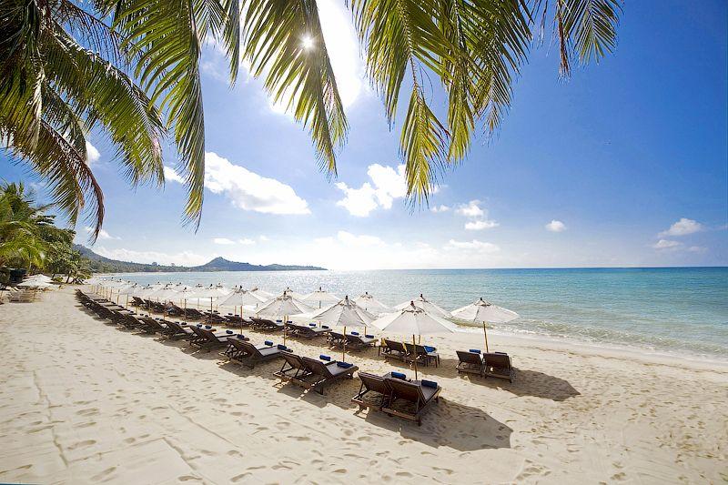 Отель Thai House Beach Resort 3*, Самуи - фото 10