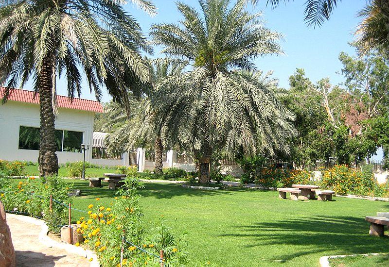 Flamingo Beach Resort 3* - смотреть фото 5 Отель Flamingo Beach Resort 3*, Умм Аль Кувейн - фото 5