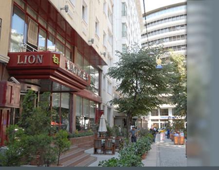 Отель Lion Hotel 4*, Стамбул - фото 1