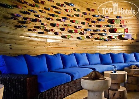 Zoetry Agua Punta Cana 5* - смотреть фото 10 Отель Zoetry Agua Punta Cana 5*, Пунта Кана - фото 10
