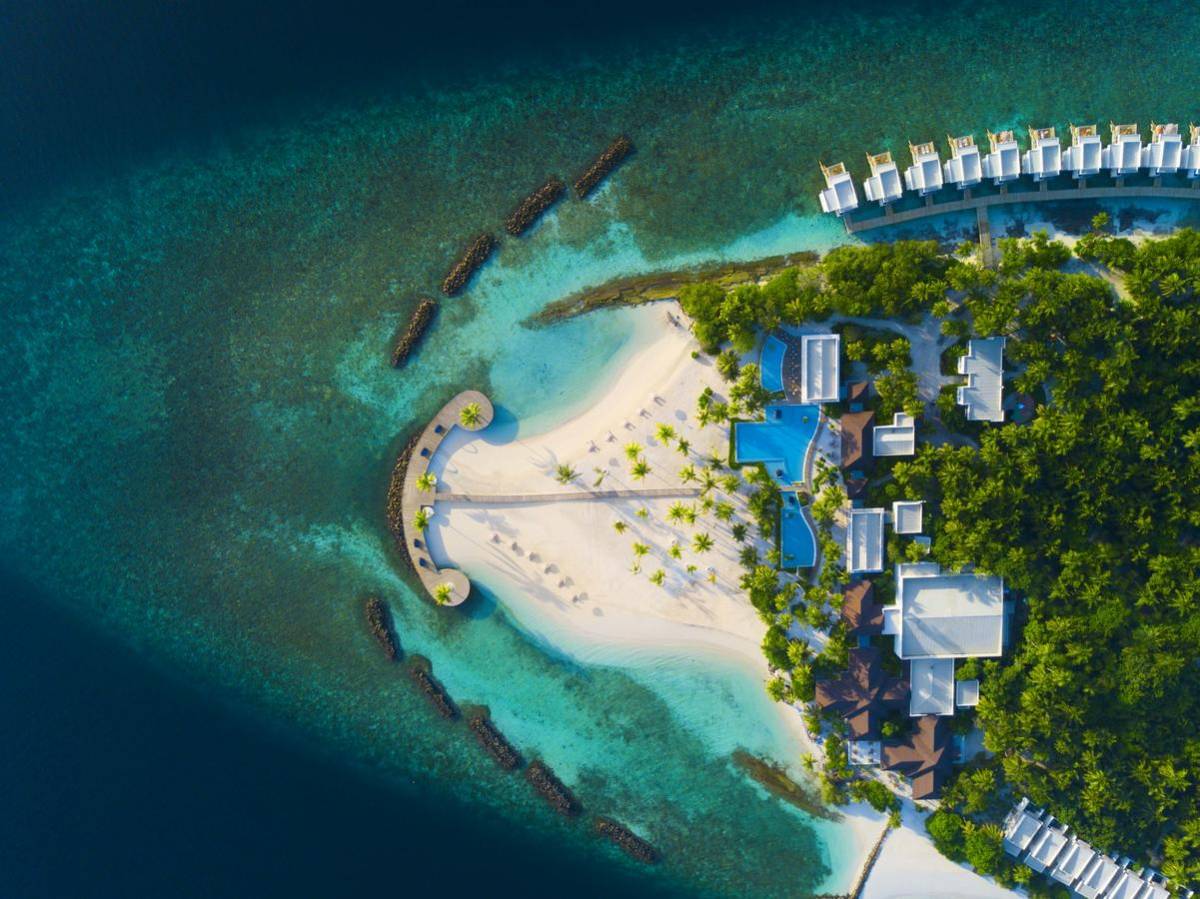 Отель Dhigali Maldives 5* deluxe *,  - фото 4