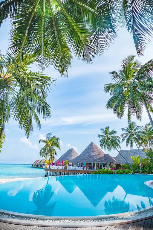 Отель Sun Aqua Vilu Reef Maldives 5* *,  - фото 16