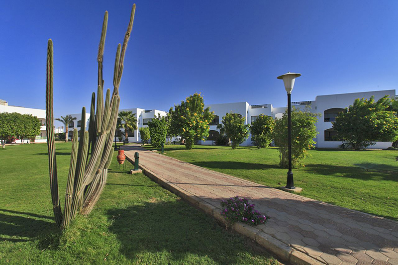 Coral Beach Resort Montazah 4* - смотреть фото 5 Отель Coral Beach Resort Montazah 4*, Шарм Эль Шейх - фото 5