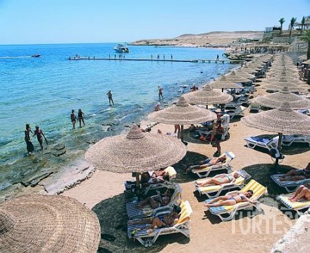 Island View Resort 5* - смотреть фото 17 Отель Island View Resort 5*, Шарм Эль Шейх - фото 17