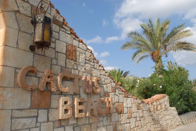 Cactus Beach 4* - смотреть фото 13 Отель Cactus Beach 4*, о. Крит - фото 13