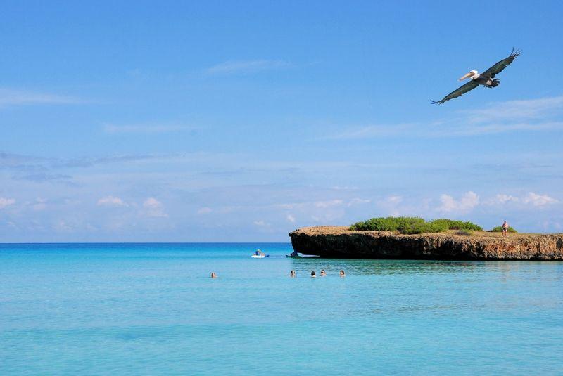 Occidental Allegro Varadero 4* - смотреть фото 26 Отель Occidental Allegro Varadero 4*, Варадеро - фото 26