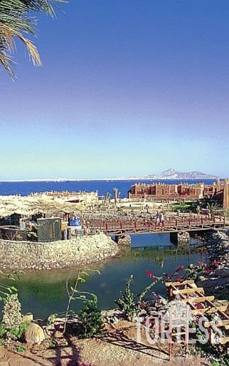 Hauza Beach Resort (закрыт) 4* - смотреть фото 18 Отель Hauza Beach Resort (закрыт) 4*, Шарм Эль Шейх - фото 18