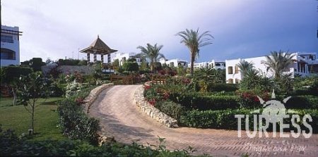 Отель Royal Grand Sharm 5*, Шарм Эль Шейх - фото 14