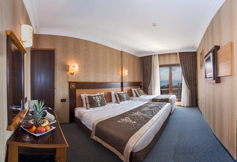 The Byzantium Hotel 3* - смотреть фото 10 Отель The Byzantium Hotel 3*, Стамбул - фото 10
