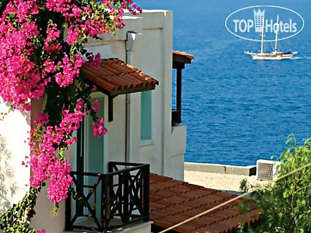 Bodrum Holiday Resort & Spa 5* - смотреть фото 27 Отель Bodrum Holiday Resort & Spa 5*, Бодрум - фото 27