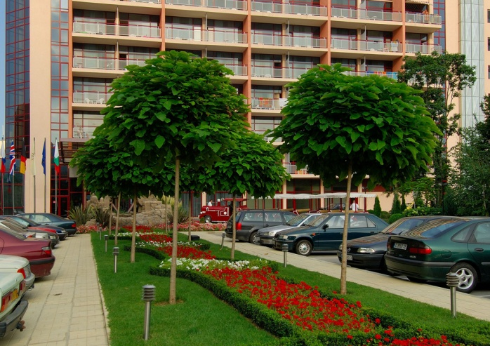 Отель Helios Spa 4*, Золотые Пески - фото 7