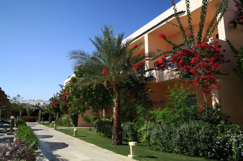 Cataract Sharm Resort 4* - смотреть фото 13 Отель Cataract Sharm Resort 4*, Шарм Эль Шейх - фото 13