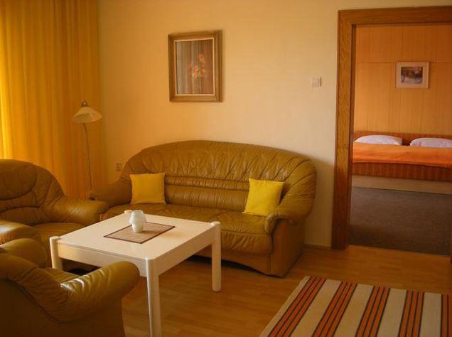 Отель Hotel Slovakia 3*, Татранска Ломница - фото 9