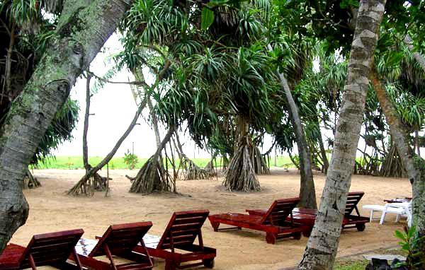 Отель Pandanus  3*, Индурува - фото 5