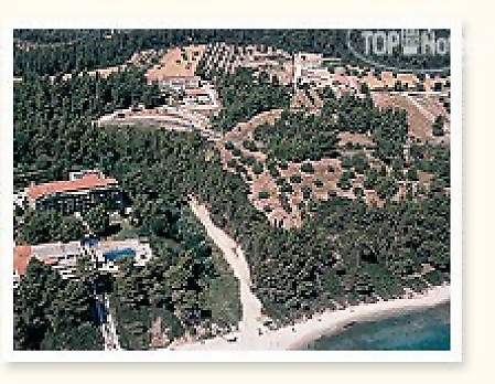 Forest Park Hotel 3* - смотреть фото 4 Отель Forest Park Hotel 3*, Кассандра - фото 4
