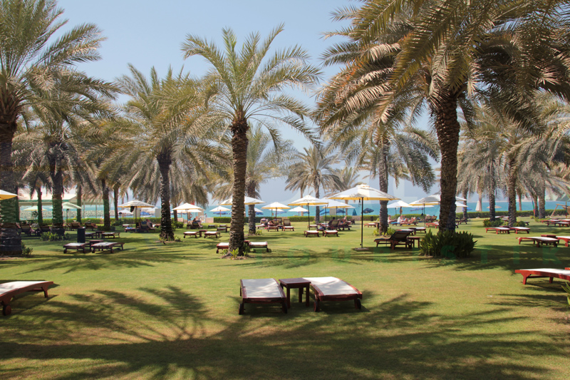 Отель Sheraton Jumeirah Beach Resort  5*, Дубаи - фото 7