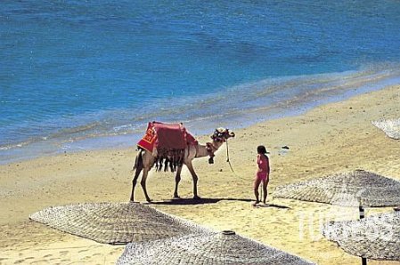 Hauza Beach Resort (закрыт) 4* - смотреть фото 4 Отель Hauza Beach Resort (закрыт) 4*, Шарм Эль Шейх - фото 4