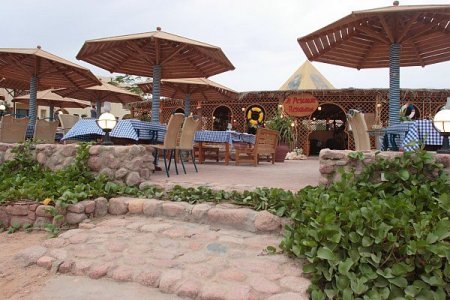 Charmillion Club Resort (ex. Sea Club Resort) 5* - смотреть фото 18 Отель Charmillion Club Resort (ex. Sea Club Resort) 5*, Шарм Эль Шейх - фото 18