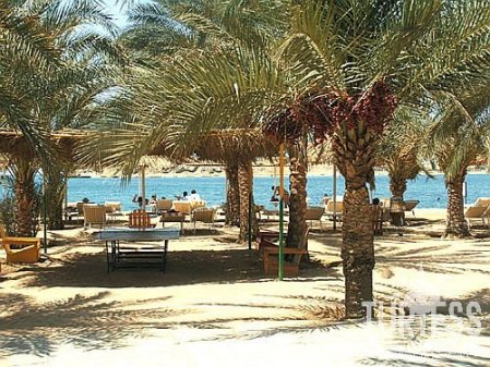 Dessole Seti Sharm Resort (закрыт) 4* - смотреть фото 9 Отель Dessole Seti Sharm Resort (закрыт) 4*, Шарм Эль Шейх - фото 9