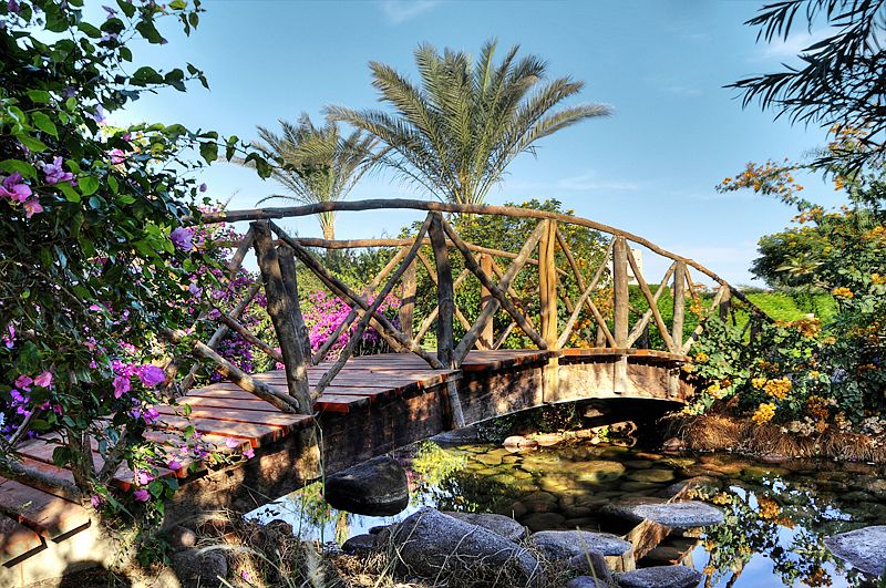 Aurora Oriental Resort Sharm El Sheikh 5* - смотреть фото 4 Отель Aurora Oriental Resort Sharm El Sheikh 5*, Шарм Эль Шейх - фото 4