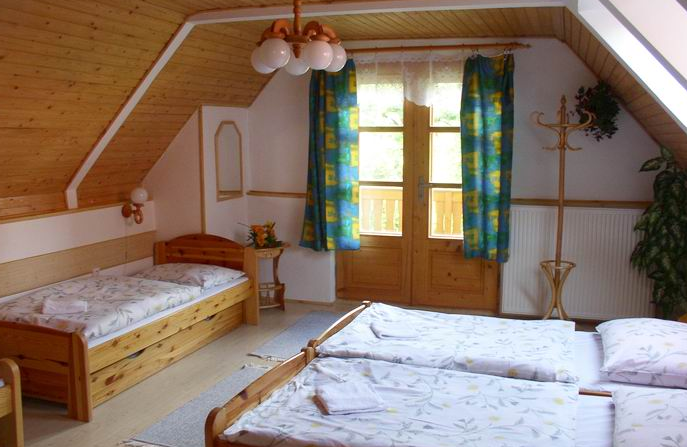 Отель Family Hotel Aurel 3*, Липтовский Ян - фото 9