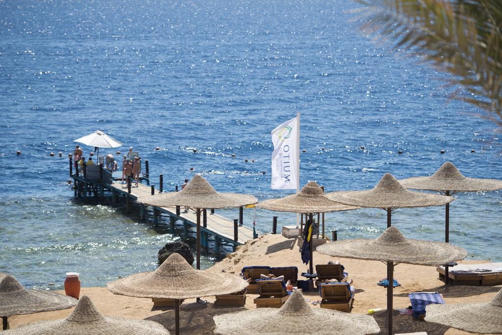 Shores Amphoras Resort 5* - смотреть фото 3 Отель Shores Amphoras Resort 5*, - фото 3