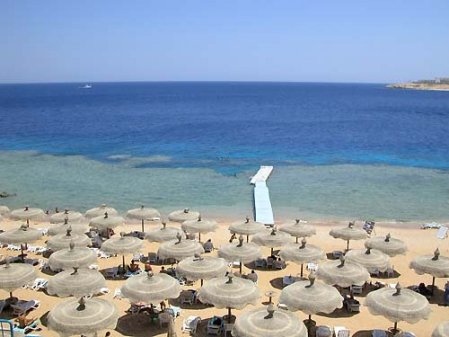 Dessole Royal Rojana Resort 5* - смотреть фото 26 Отель Dessole Royal Rojana Resort 5*, Шарм Эль Шейх - фото 26