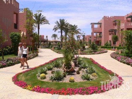 Rehana Sharm Resort 4* - смотреть фото 8 Отель Rehana Sharm Resort 4*, Шарм Эль Шейх - фото 8