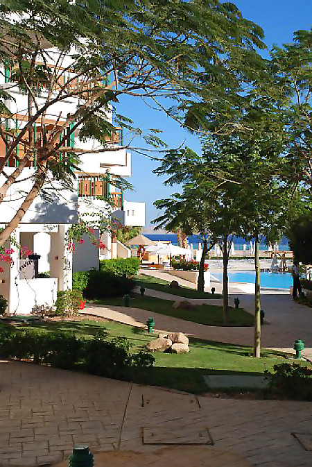 Cyrene Sharm Hotel 4* - смотреть фото 13 Отель Cyrene Sharm Hotel 4*, Шарм Эль Шейх - фото 13