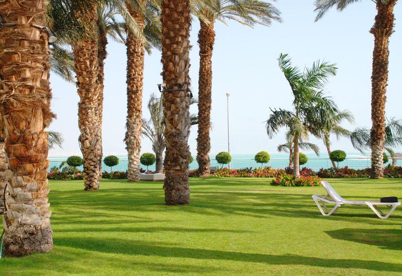 Isrotel Dead Sea 4* - смотреть фото 2628 Отель Isrotel Dead Sea 4*, Мёртвое Море - фото 2628