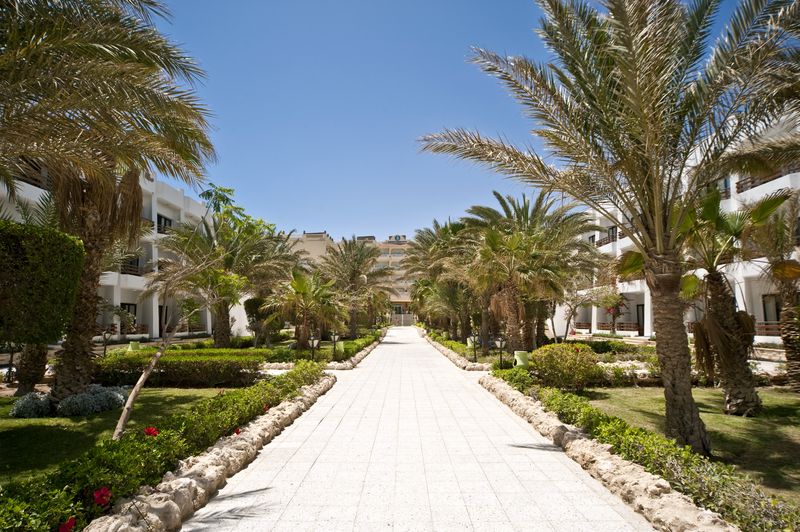 Festival Shedwan Golden Beach Resort (закрыт) 3* - смотреть фото 11 Отель Festival Shedwan Golden Beach Resort (закрыт) 3*, Хургада - фото 11
