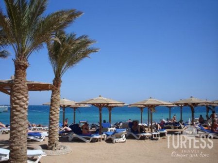 Отель Palm Beach Resort 4*, Хургада - фото 32