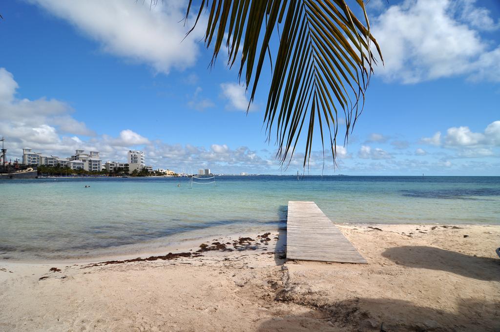 Отель Oasis Palm 4*, Канкун - фото 11