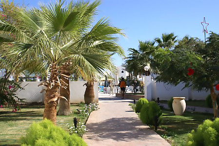 Отель Poinciana Sharm Resort  4*, Шарм Эль Шейх - фото 6