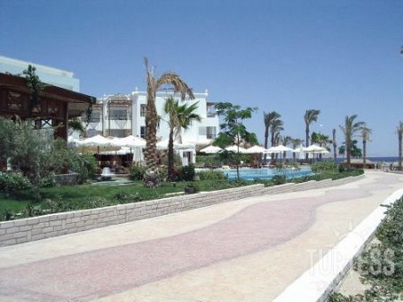 Albatros Palace Sharm 5* - смотреть фото 16 Отель Albatros Palace Sharm 5*, Шарм Эль Шейх - фото 16