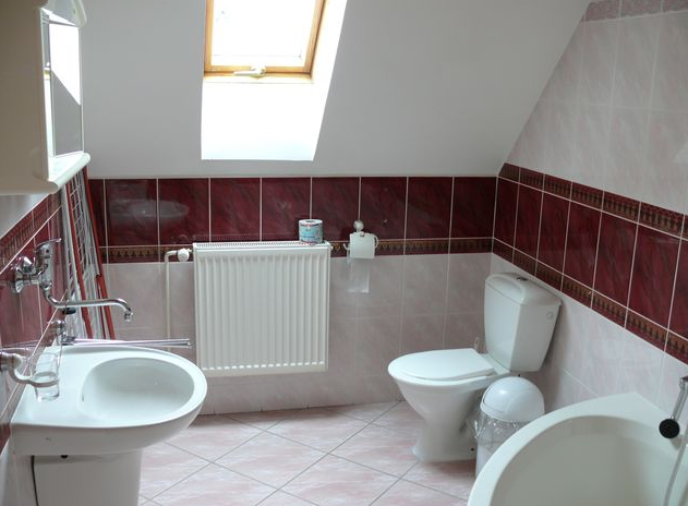 Отель Family Hotel Aurel 3*, Липтовский Ян - фото 10