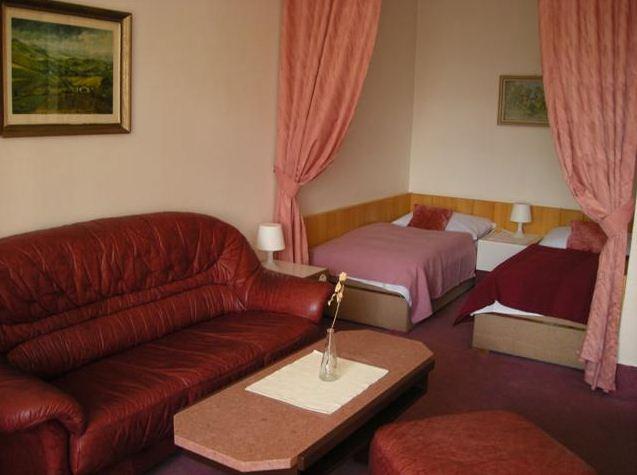 Отель Hotel Slovakia 3*, Татранска Ломница - фото 8