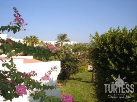 Riviera Plaza Abu Soma 4* - смотреть фото 8 Отель Riviera Plaza Abu Soma 4*, Сафага - фото 8