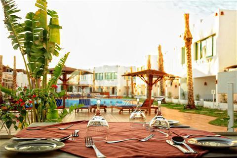 Ocean Club 3* - смотреть фото 16 Отель Ocean Club 3*, Шарм Эль Шейх - фото 16