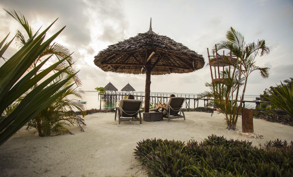 Отель Fruit & Spice Wellness Resort Zanzibar *,  - фото 16