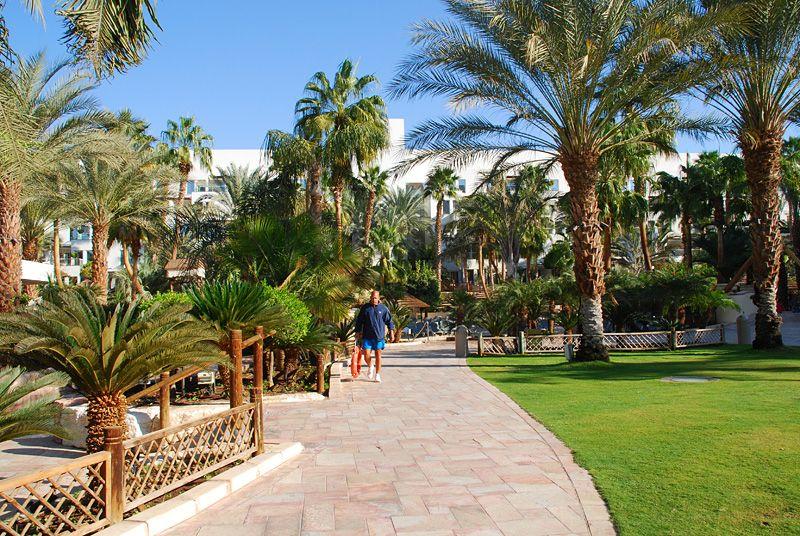 Отель Isrotel Royal Garden 4*, Эйлат - фото 10