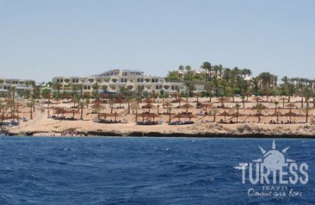 Отель Grand Oasis Resort  4*, Шарм Эль Шейх - фото 21