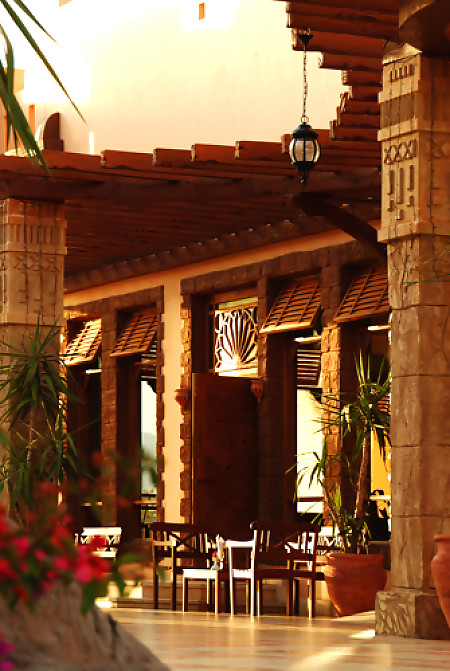 Charmillion Sea Life Resort 5* - смотреть фото 11 Отель Charmillion Sea Life Resort 5*, Шарм Эль Шейх - фото 11