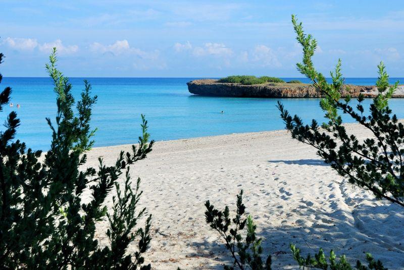 Occidental Allegro Varadero 4* - смотреть фото 27 Отель Occidental Allegro Varadero 4*, Варадеро - фото 27