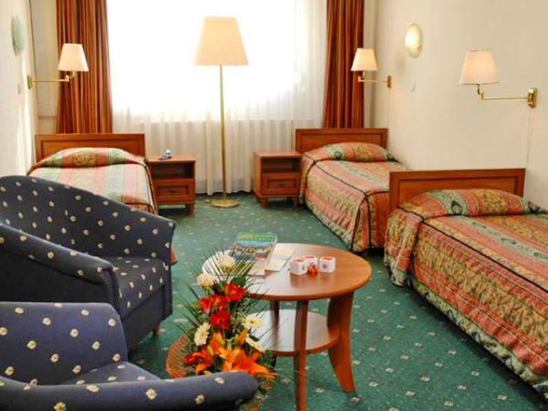 Отель City Hotel Atlas 3*, Будапешт - фото 10