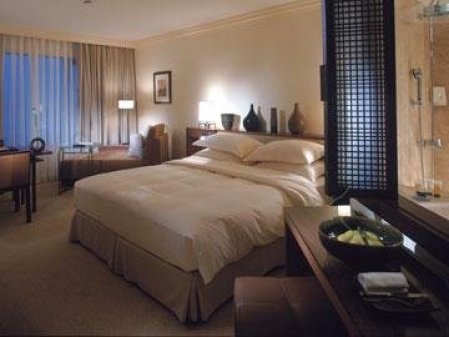 Отель Grand Hyatt Istanbul 5*, Стамбул - фото 4