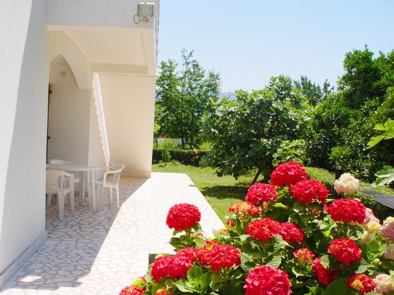 Villa House Irena 3* - смотреть фото 3 Отель Villa House Irena 3*, Будва - фото 3
