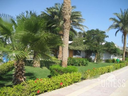 Shams Safaga Resort 4* - смотреть фото 25 Отель Shams Safaga Resort 4*, Сафага - фото 25