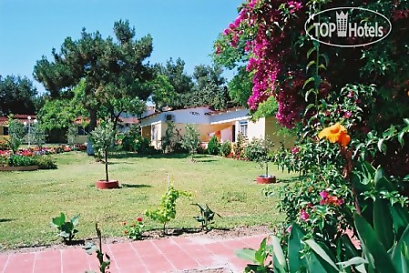 Отель Sousouras Hotel 3*, Кассандра - фото 22